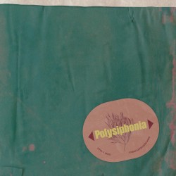 Polysiphonia