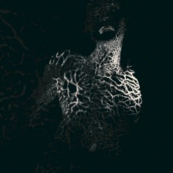 To Flow Through Ashen Hearts