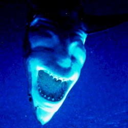 THALASSOPHOBIA // ТАЛАССОФОБИЯ