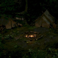 Encampment - Forest Sounds at Night