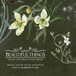 Many Beautiful Things (Original Motion Picture Soundtrack)