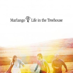 Life in the Treehouse