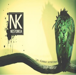 Les oiseaux scratchent pour mourir