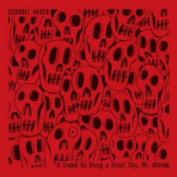 It Ended Up Being a Great Day, Mr. Allende