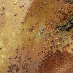 East Fork / North Fork