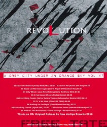 A Grey City Under an Orange Sky 47: Revolution