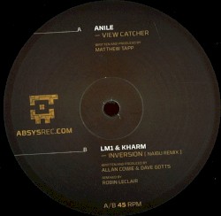 View Catcher / Inversion (Naibu remix)