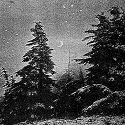 Wintermagie