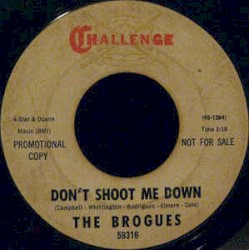 Don't Shoot Me Down