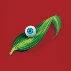 Burning Beaches (Budgie remix)