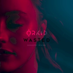 Wasted (acoustic version)