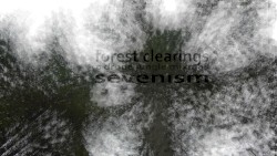 forest clearings: a drone jungle mixmas