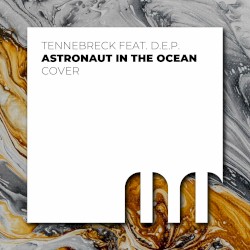 Astronaut in the ocean