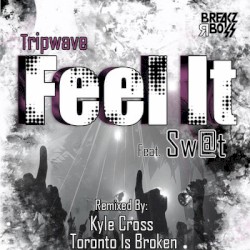 Feel It (Toronto Is Broken remix)