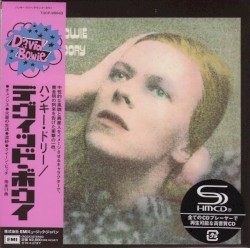 Hunky Dory