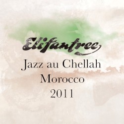 Jazz Au Chellah Morocco 2011