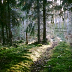 𓀙 𝕭𝖊𝖞𝖔𝖓𝖉 𝖙𝖍𝖊 𝖀𝖓𝖐𝖓𝖔𝖜𝖓 𓅯