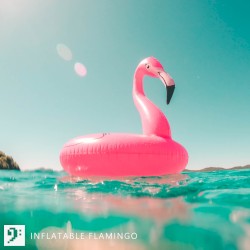 Inflatable Flamingo