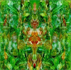 Emerald Aether: Shape Shifting