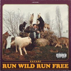 Run Wild Run Free