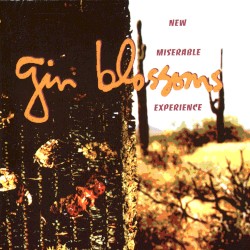 New Miserable Experience