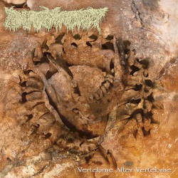 Vertebrae After Vertebrae