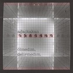 Ölmedim, Delirmedim