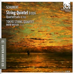 String Quintet, D. 956 / Quartettsatz, D. 703