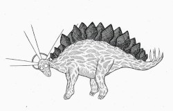 Stegosaurus
