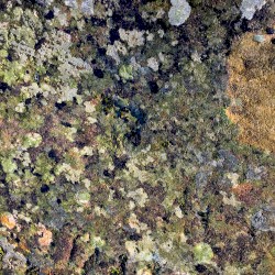 Divine Rays in Pure Awareness