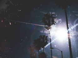 Pink and Blue Palms