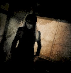 イビスキュスの花