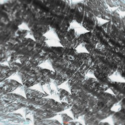 Foundations for a Journey / Part II