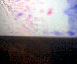 Dégradaction improvisoire