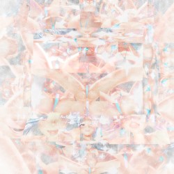 S2E43 [HOME: DREAM-ARC (18)] Elysian Green(qd3539-339)/Silver Know nothing about them the package came