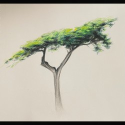 When The Wind Blew Through Your Branches