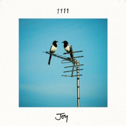 Joy