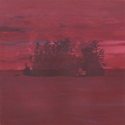The Besnard Lakes Are the Divine Wind