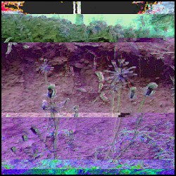 Riverbed