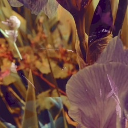 The Less I Say, the More I Hear