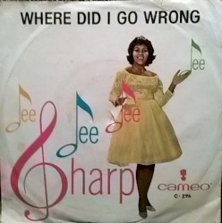 Where Did I Go Wrong