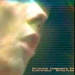 Electronic Affection