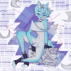 GET PUPPED!