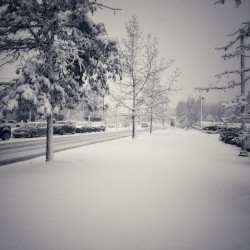 Spurred on to New Beginnings