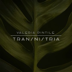 Transnistria