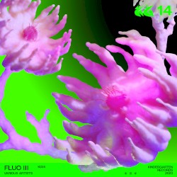 Fluo III