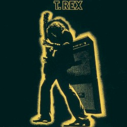 Electric Warrior