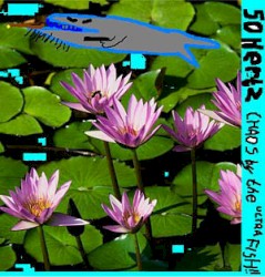 Chaos by the Ultra Fish