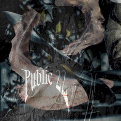 Public22
