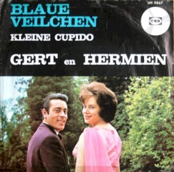 Blaue Veilchen
